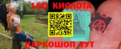 ГАЛЛЮЦИНОГЕННЫЕ ГРИБЫ Малгобек