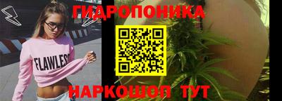 гидра Мариинск